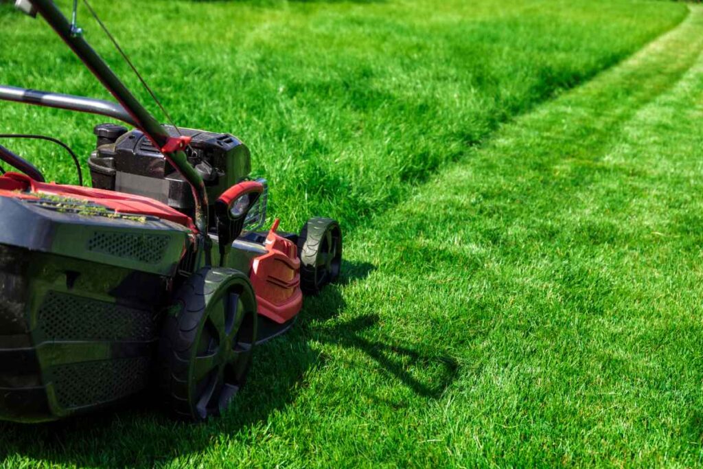 8 Signs That You Need to Hire a Professional Lawn Company